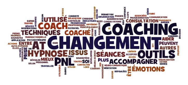 Coaching Professionnel